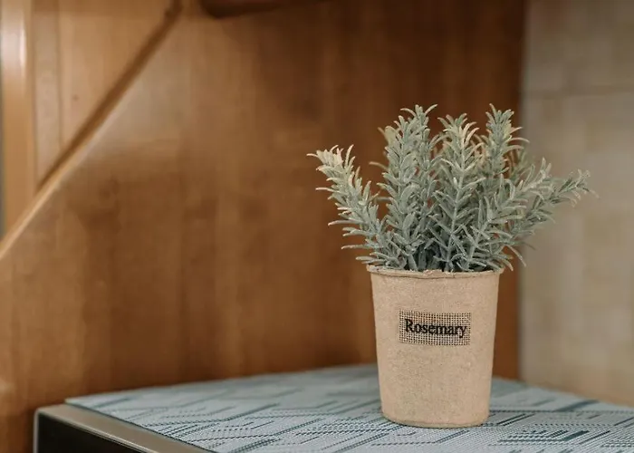 Estell's Sweet Luxury House וולוס